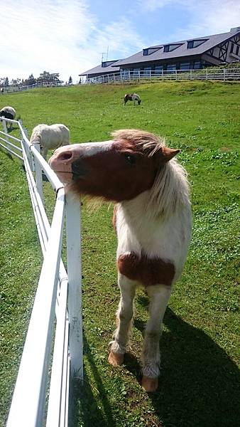 DSC_0036_11.JPG DSC_0036_11.JPG