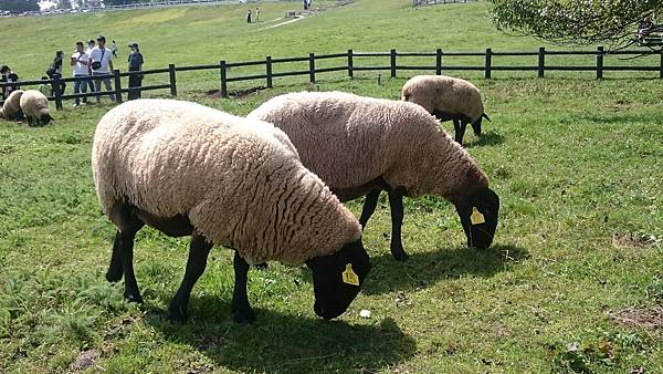 DSC_0041_13.JPG DSC_0041_13.JPG