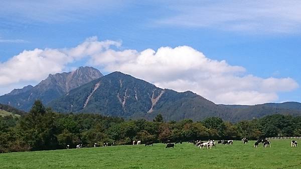 DSC_0056_10.JPG DSC_0056_10.JPG