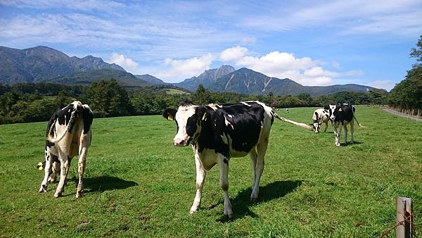 DSC_0061_11.JPG DSC_0061_11.JPG