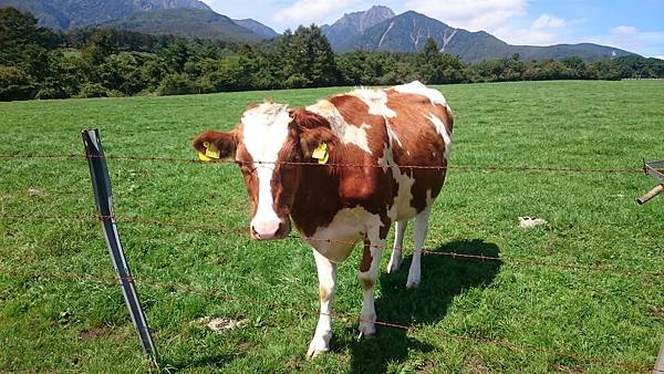 DSC_0063_9.JPG DSC_0063_9.JPG