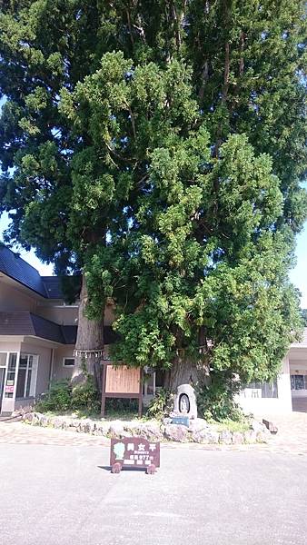 DSC_0001_20.JPG DSC_0001_20.JPG