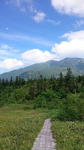 DSC_0012_17.JPG DSC_0012_17.JPG