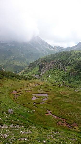 DSC_0040_14.JPG DSC_0040_14.JPG