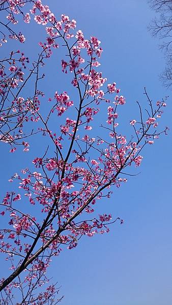 DSC_0138_5.JPG DSC_0138_5.JPG