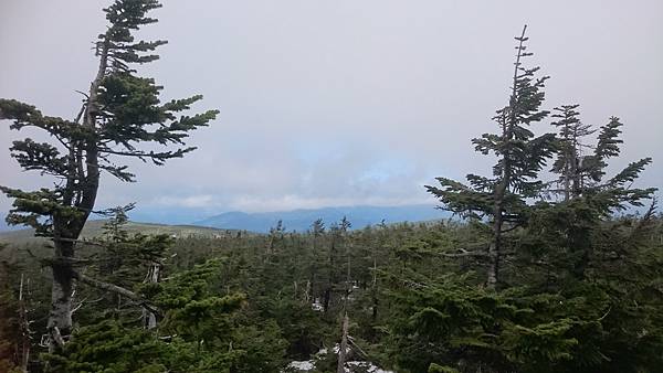 DSC_0337_2.JPG DSC_0337_2.JPG