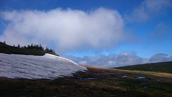 DSC_0353.JPG DSC_0353.JPG