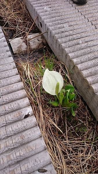 DSC_0359_2.JPG DSC_0359_2.JPG