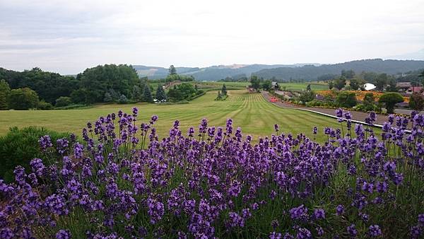 DSC_0121_5.JPG DSC_0121_5.JPG