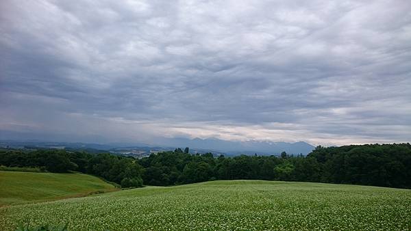 DSC_0074_5.JPG DSC_0074_5.JPG