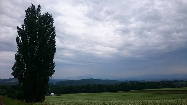 DSC_0081_7.JPG DSC_0081_7.JPG