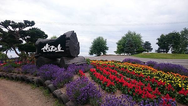 DSC_0090_6.JPG DSC_0090_6.JPG