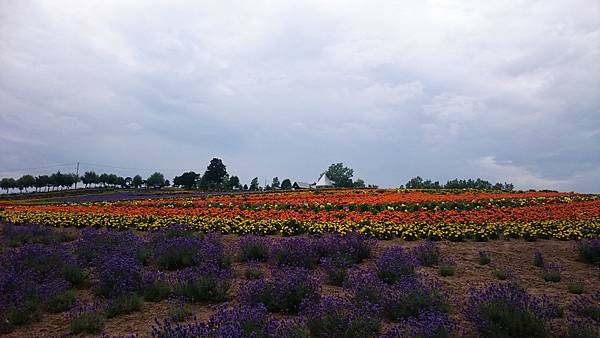 DSC_0088_6.JPG DSC_0088_6.JPG