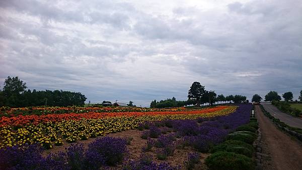 DSC_0089_8.JPG DSC_0089_8.JPG