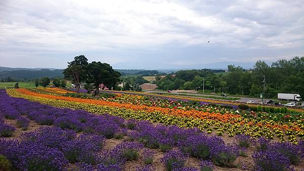 DSC_0091_5.JPG DSC_0091_5.JPG