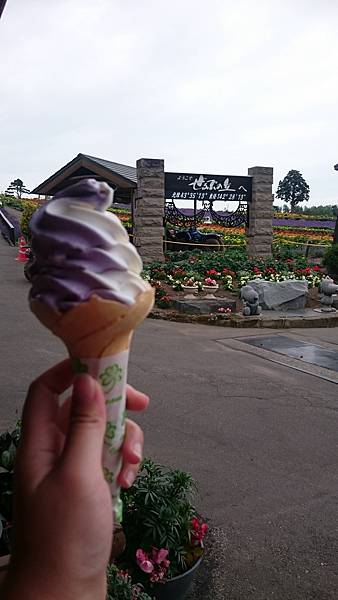 DSC_0130_1.JPG DSC_0130_1.JPG