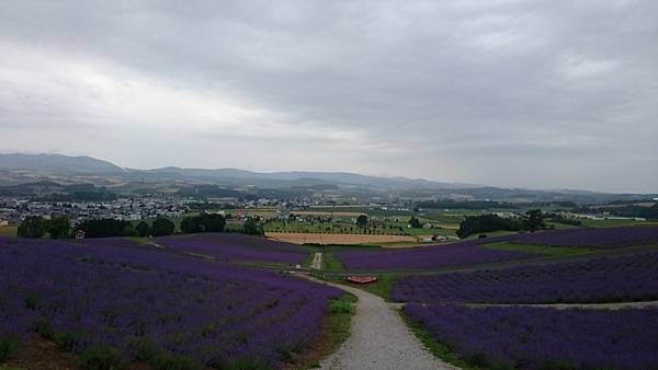 DSC_0173_5.JPG DSC_0173_5.JPG