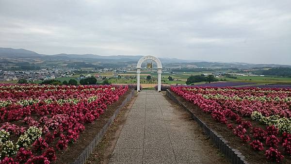 DSC_0165_9.JPG DSC_0165_9.JPG