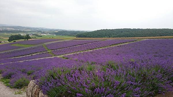 DSC_0168_4.JPG DSC_0168_4.JPG