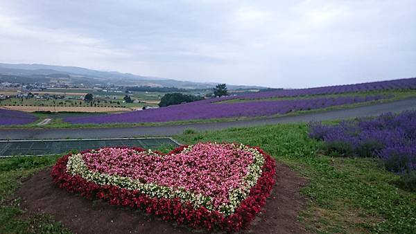 DSC_0174_6.JPG DSC_0174_6.JPG