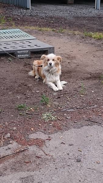 DSC_0002_14.JPG DSC_0002_14.JPG