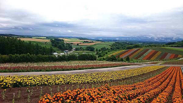 DSC_0036_11.JPG DSC_0036_11.JPG