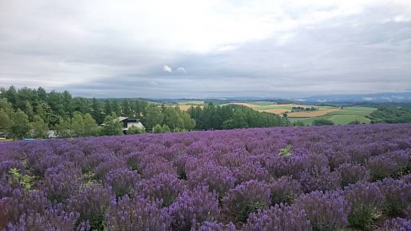 DSC_0030_6.JPG DSC_0030_6.JPG