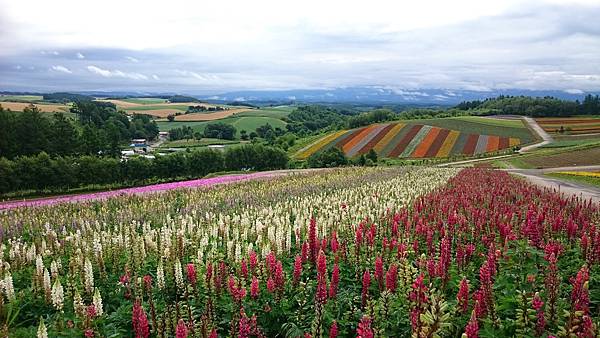 DSC_0039_9.JPG DSC_0039_9.JPG