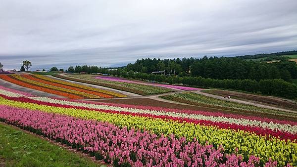 DSC_0056_9.JPG DSC_0056_9.JPG