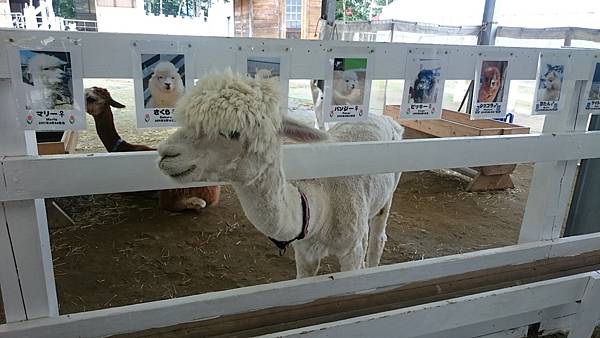 DSC_0027_11.JPG DSC_0027_11.JPG