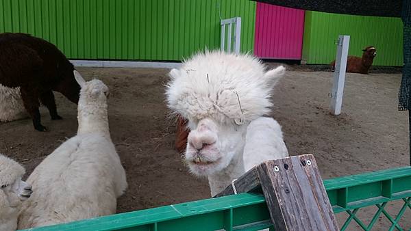 DSC_0018_10.JPG DSC_0018_10.JPG