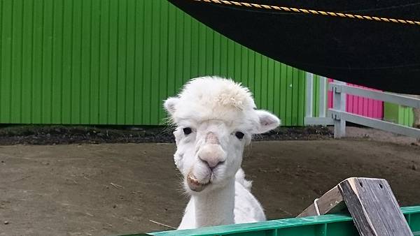 DSC_0020_11.JPG DSC_0020_11.JPG