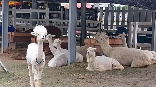 DSC_0021_4.JPG DSC_0021_4.JPG