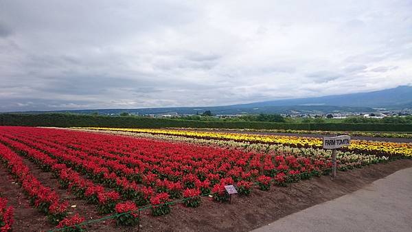 DSC_0047_10.JPG DSC_0047_10.JPG