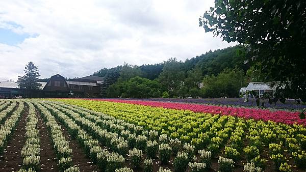 DSC_0052.JPG DSC_0052.JPG