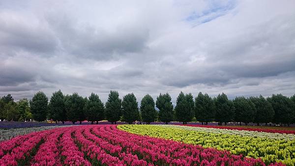 DSC_0062.JPG DSC_0062.JPG