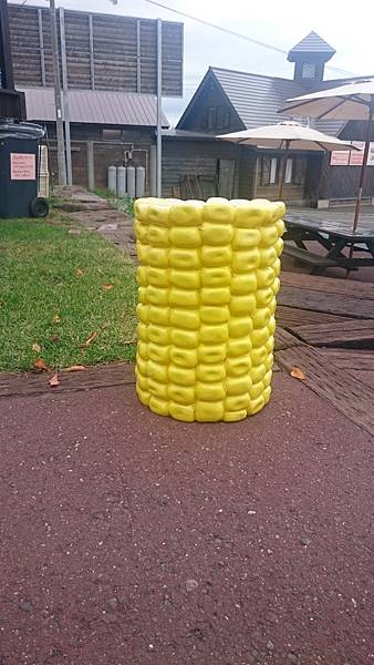 DSC_0008_11.JPG DSC_0008_11.JPG