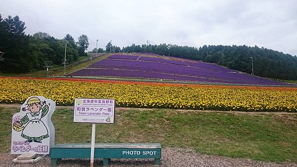 DSC_0077.JPG DSC_0077.JPG