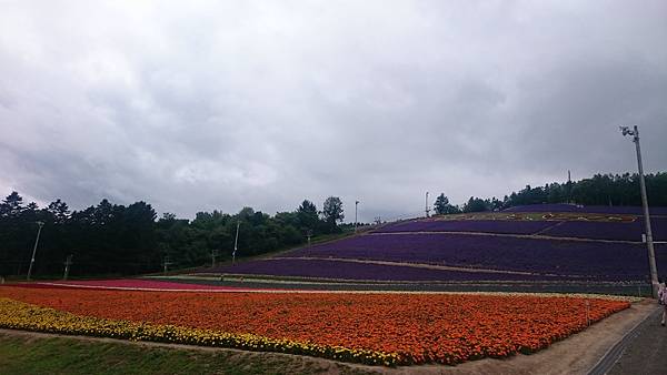 DSC_0069.JPG DSC_0069.JPG