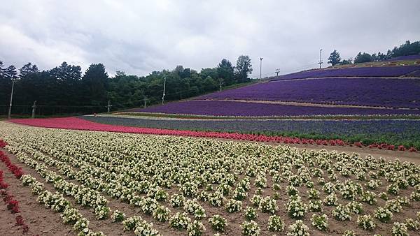 DSC_0070.JPG DSC_0070.JPG