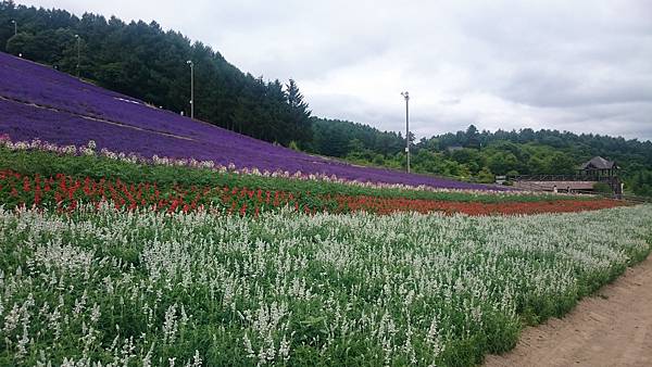 DSC_0073.JPG DSC_0073.JPG