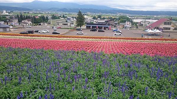 DSC_0074.JPG DSC_0074.JPG