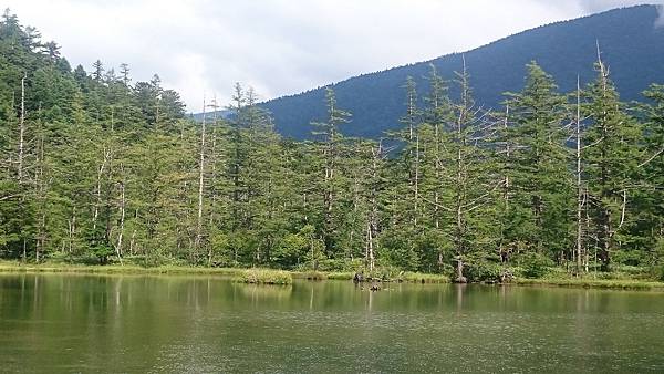 DSC_0181.JPG DSC_0181.JPG