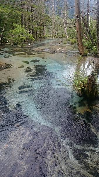 DSC_0217.JPG DSC_0217.JPG