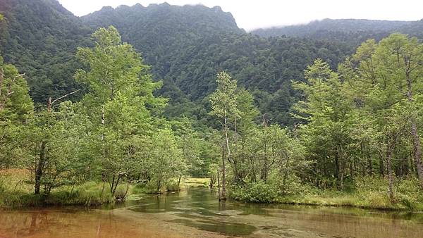 DSC_0141_5.JPG DSC_0141_5.JPG