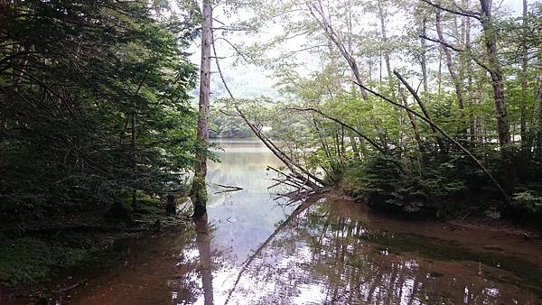 DSC_0131_5.JPG DSC_0131_5.JPG