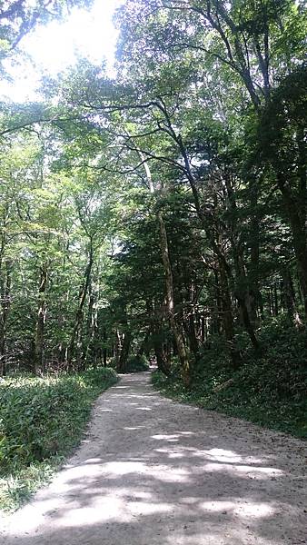 DSC_0167.JPG DSC_0167.JPG