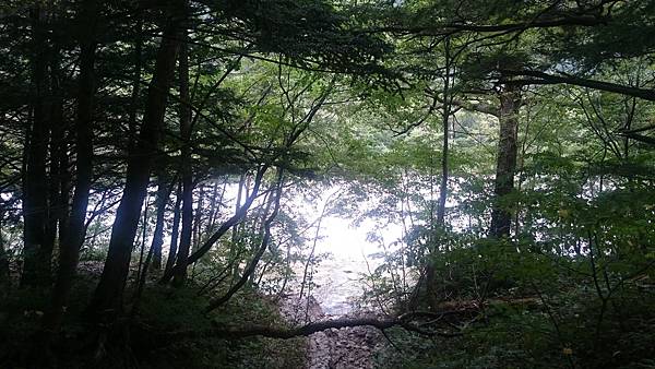 DSC_0170.JPG DSC_0170.JPG