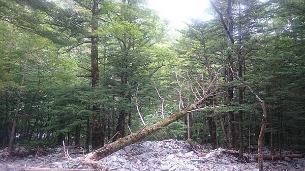 DSC_0169.JPG DSC_0169.JPG