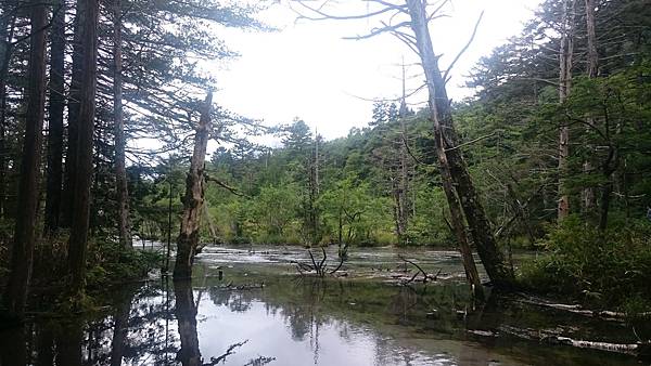 DSC_0211.JPG DSC_0211.JPG